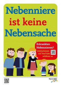 Bijnier-geen-bijzaak-NL-A3HR-1-German