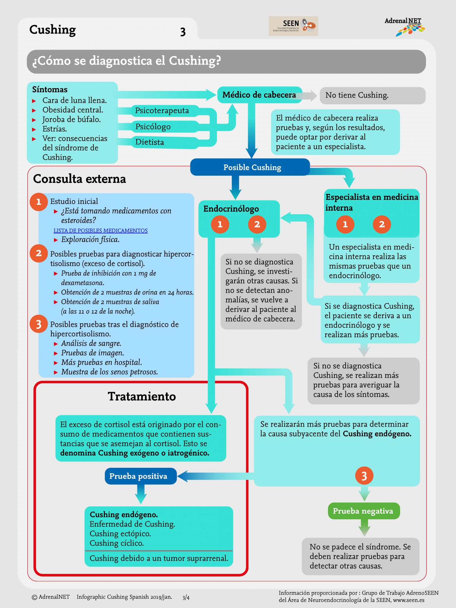 Infografía del síndrome de Cushing Adrenals eu