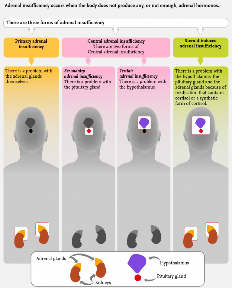 Adrenal Insufficiency Infographic - Adrenals.eu