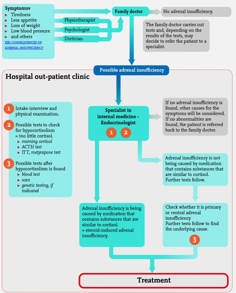 Adrenal insufficiency infographic Adrenals.eu
