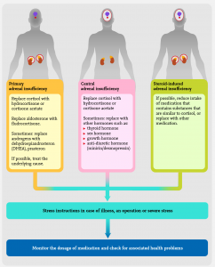 Adrenal Insufficiency Infographic - Adrenals.eu