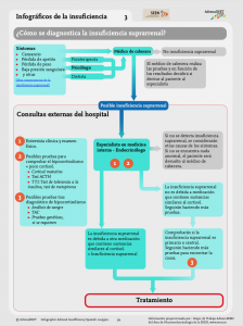 La Insuficiencia Suprarrenal Infographic Adrenals Eu